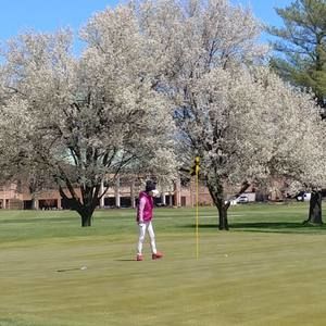 Meet your Posher, Miae